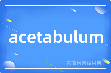 acetabulum