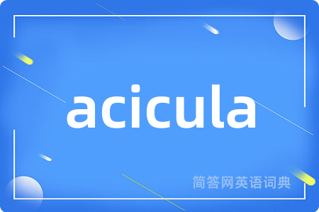 acicula