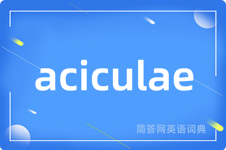 aciculae