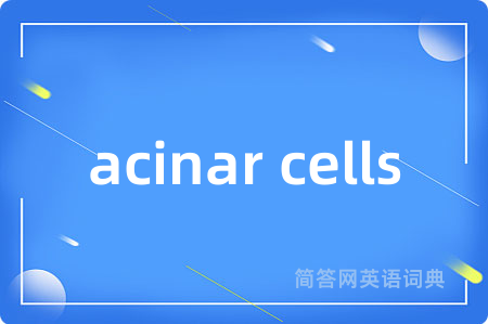 acinar cells