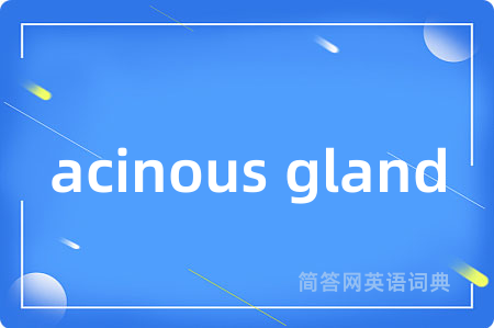 acinous gland