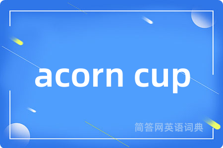 acorn cup