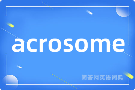 acrosome