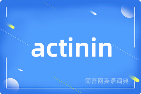 actinin