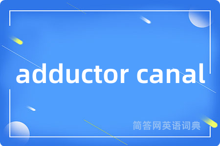 adductor canal