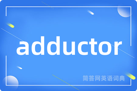 adductor