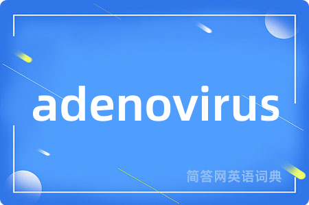 adenovirus是什么意思,adenovirus的中文翻译 adenovirus