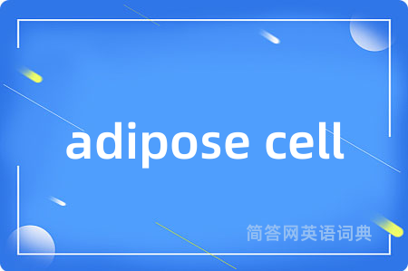 adipose cell