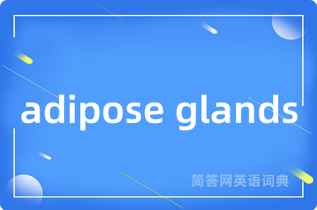 adipose glands