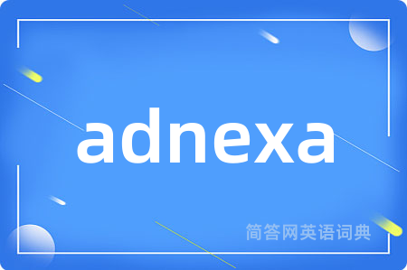adnexa是什么意思,adnexa的中文翻译 adnexa