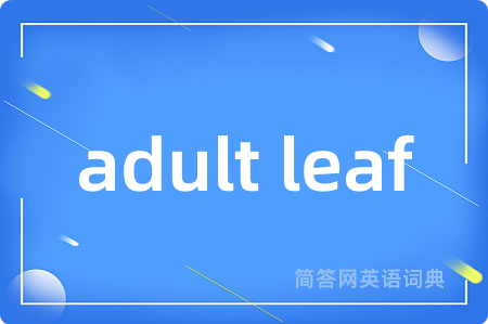 adult leaf