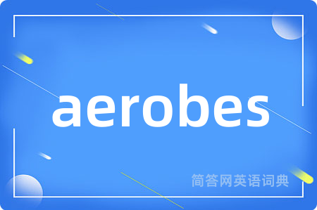 aerobes