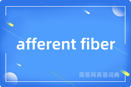 afferent fiber
