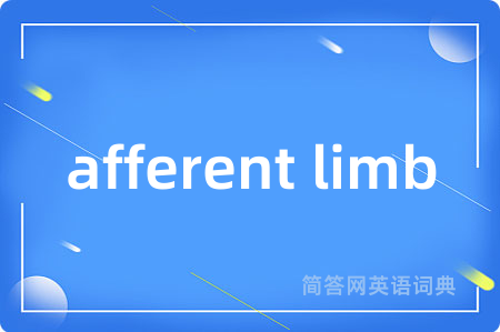 afferent limb