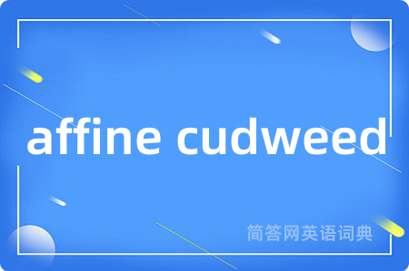 affine cudweed