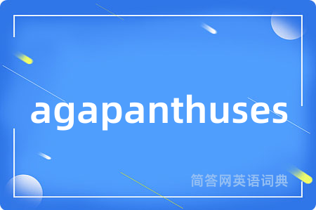agapanthuses