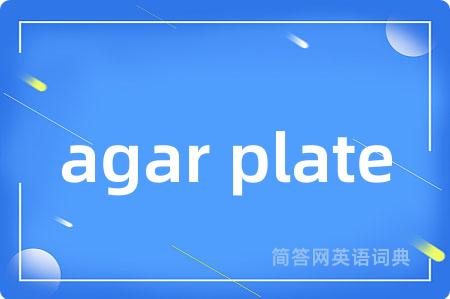 agar plate