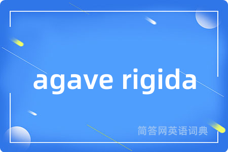 agave rigida