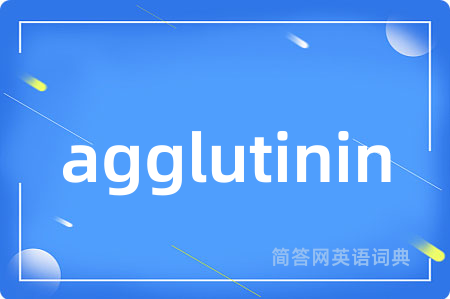 agglutinin