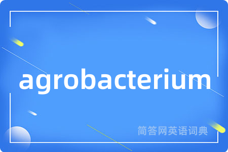 agrobacterium