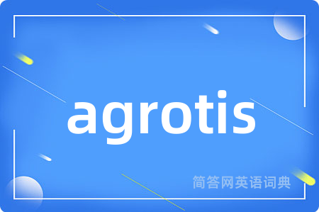 agrotis