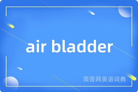 air bladder