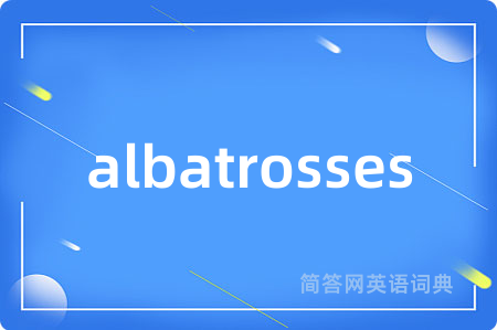 albatrosses