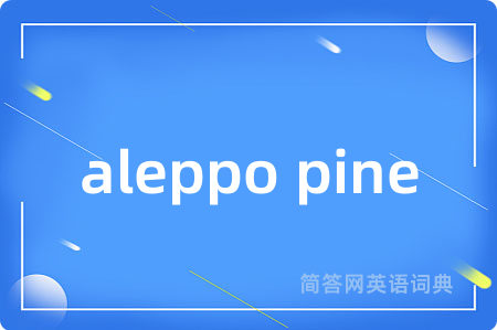 aleppo pine