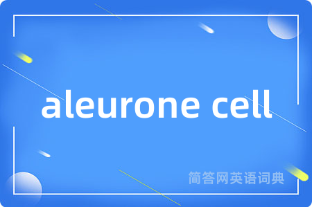 aleurone cell