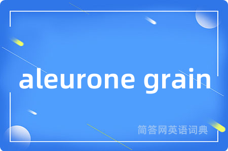 aleurone grain