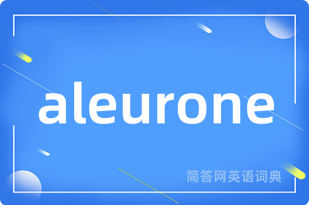 aleurone