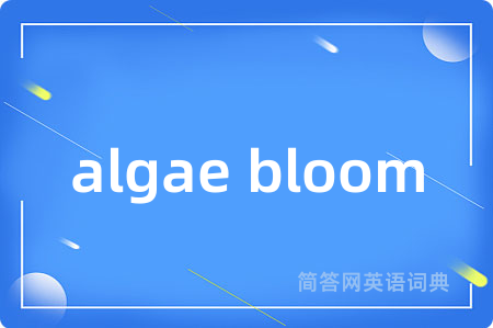 algae bloom