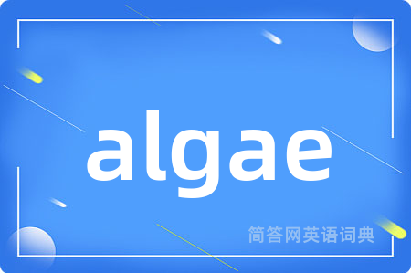algae是什么意思,algae的中文翻译 algae