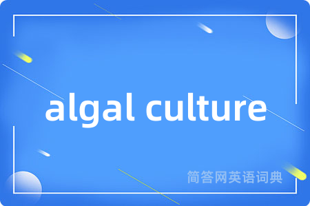 algal culture