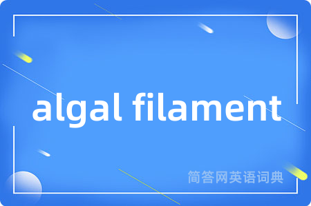 algal filament