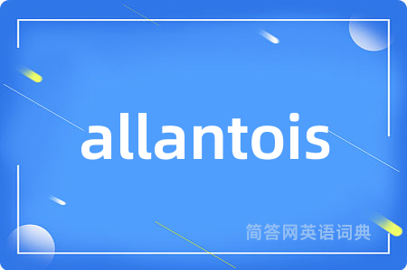 allantois
