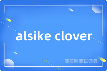alsike clover