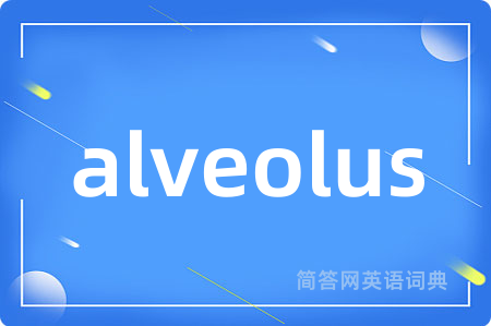 alveolus
