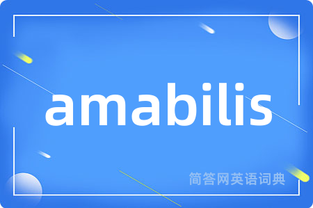 amabilis