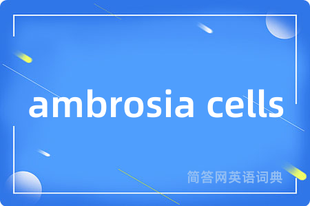ambrosia cells