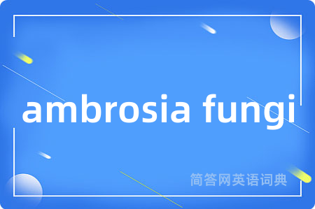 ambrosia fungi