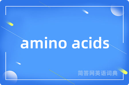 amino acids是什么意思,amino acids的中文翻译 amino acids