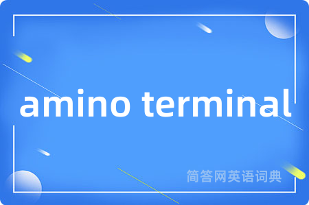 amino terminal