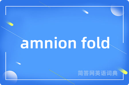 amnion fold