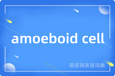 amoeboid cell