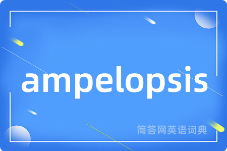 ampelopsis