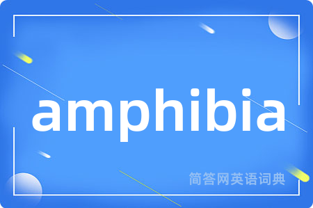 amphibia是什么意思,amphibia的中文翻译 amphibia