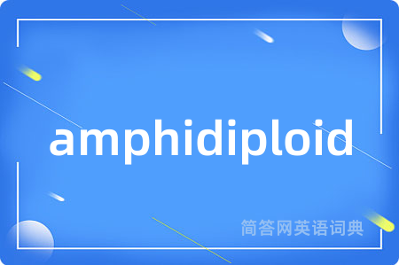 amphidiploid