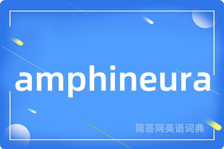amphineura