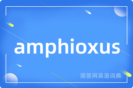 amphioxus
